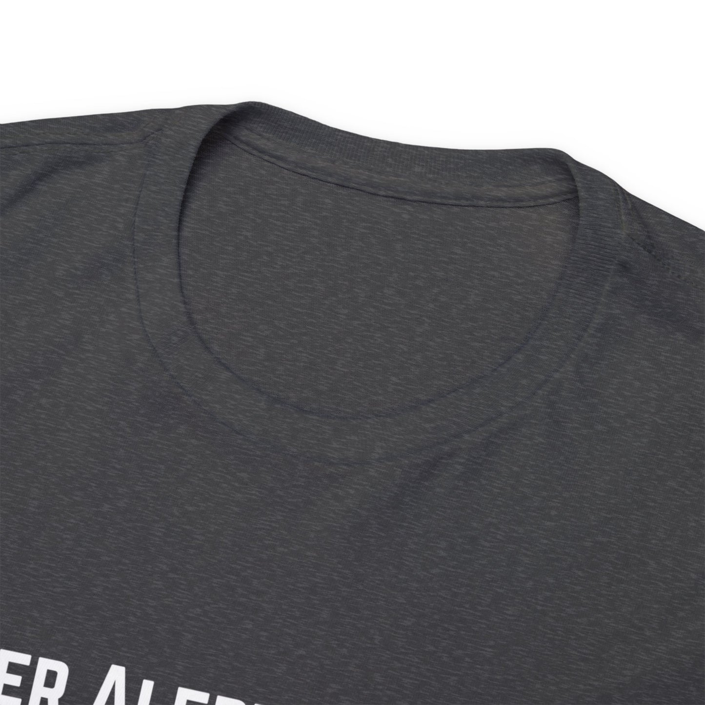 Spoiler Alert Enthusiast Unisex Heavy Cotton Tee