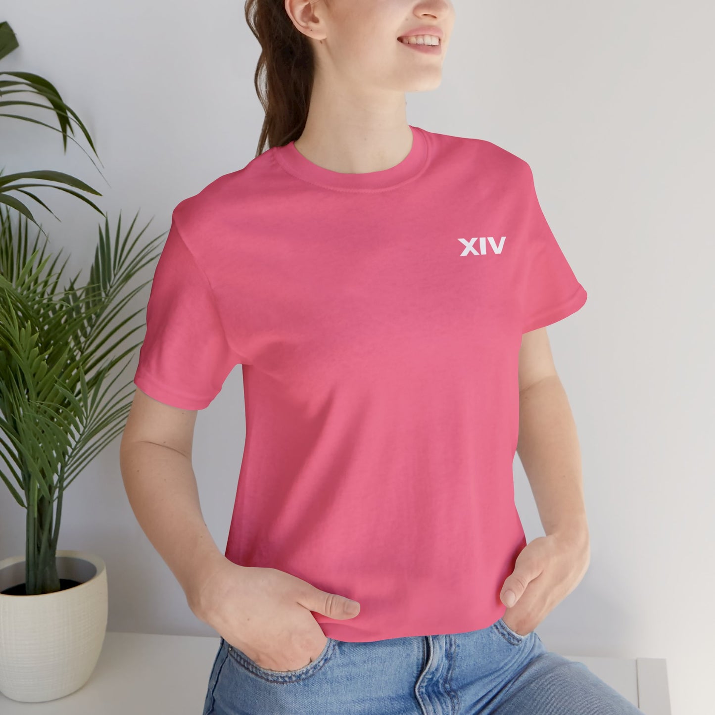 Revolt Against The Modern World T-shirt Version Two
