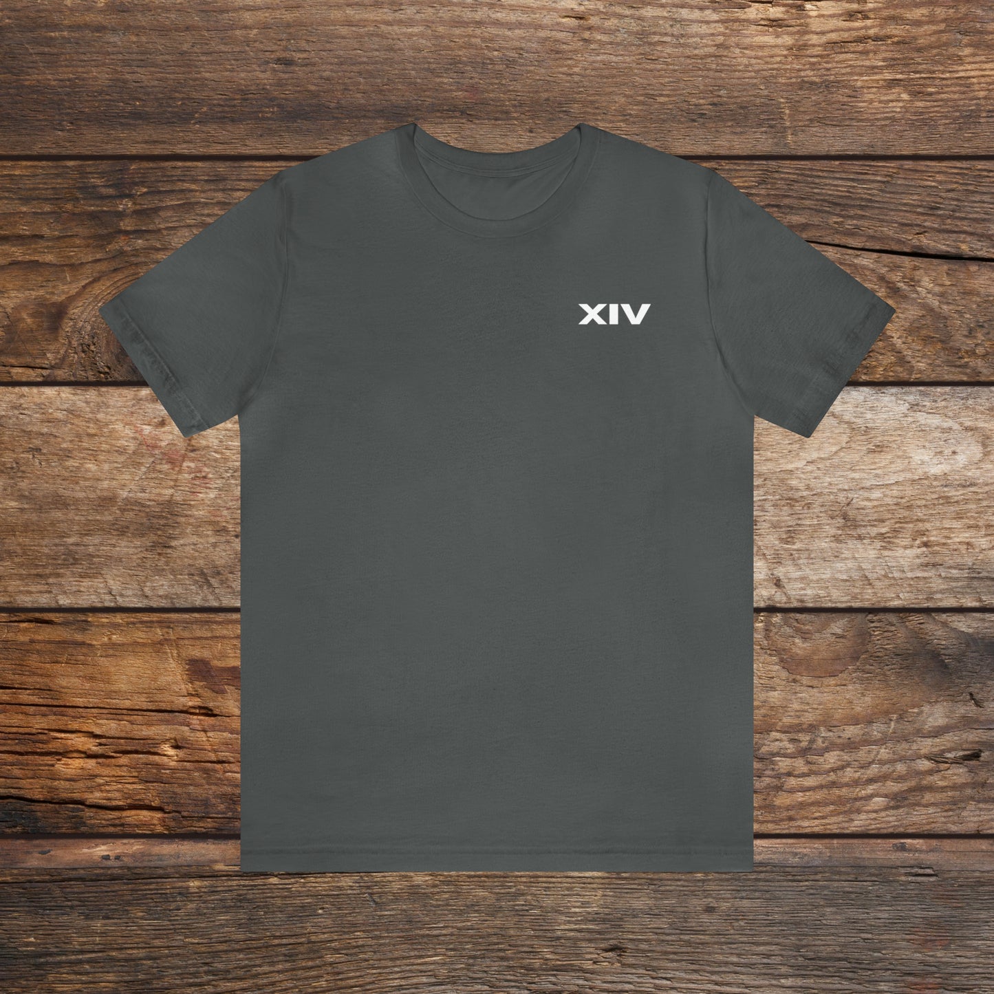 Revolt Against The Modern World T-shirt Version Two