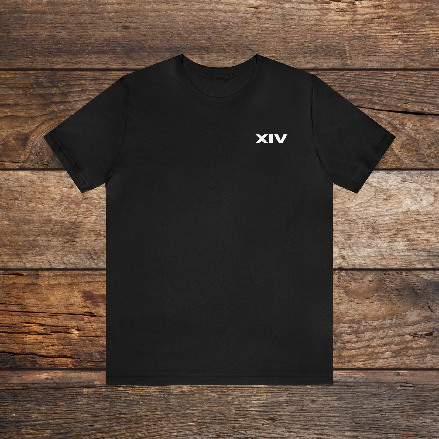 Revolt Against The Modern World T-shirt Version Two