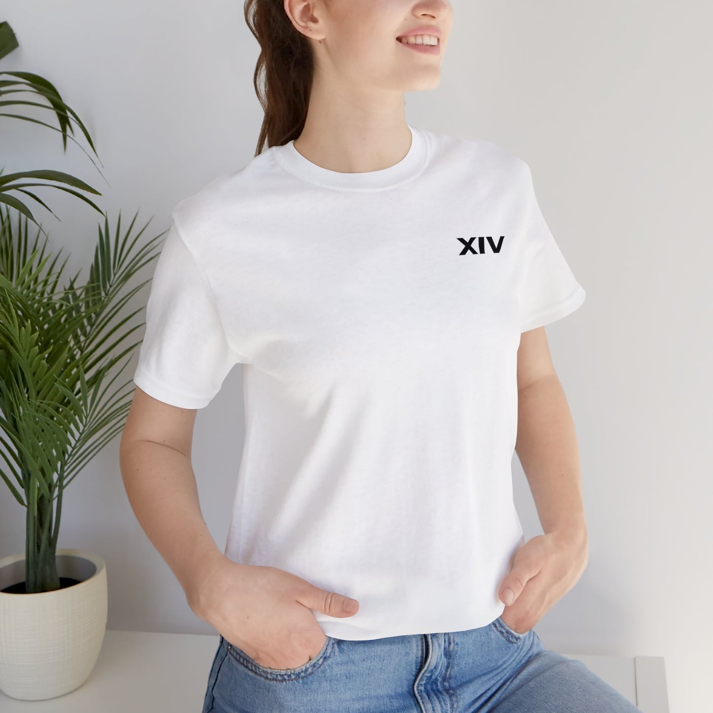 Revolt Against The Modern World T-shirt Version Two