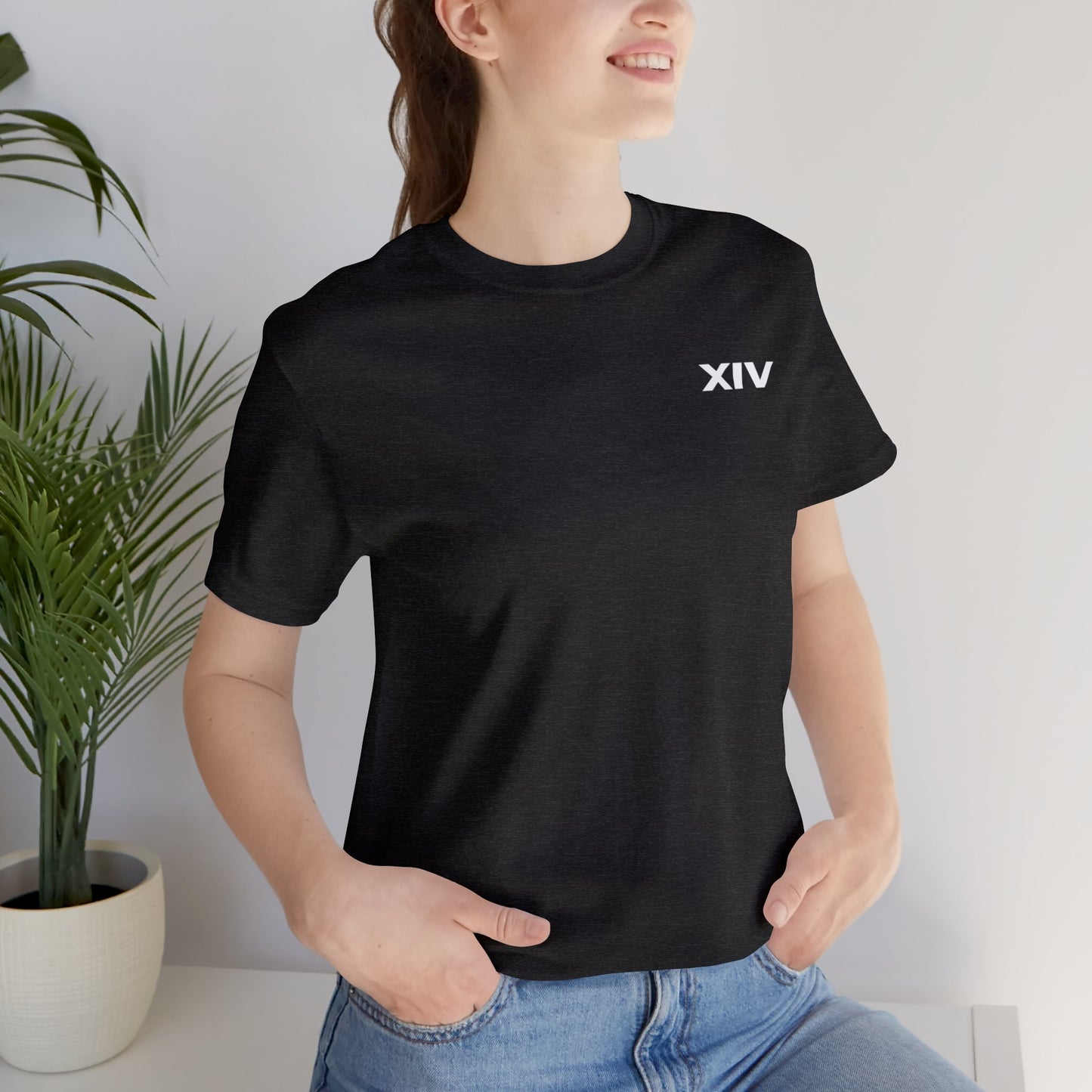 Revolt Against The Modern World T-shirt Version Two